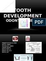 8 DEC 2014 Pre Natal Teeth Dev [Autosaved]