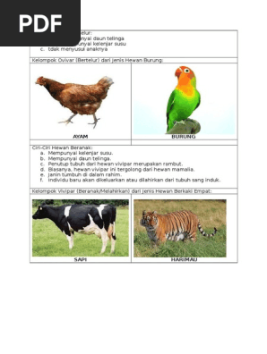 410+ Gambar Ciri Hewan Bertelur Gratis Terbaik