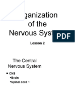 Organization of The Nervous System: Lesson 2