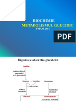 Curs PPT Metabolismul Glucidic Biochimie Nov2014 Final