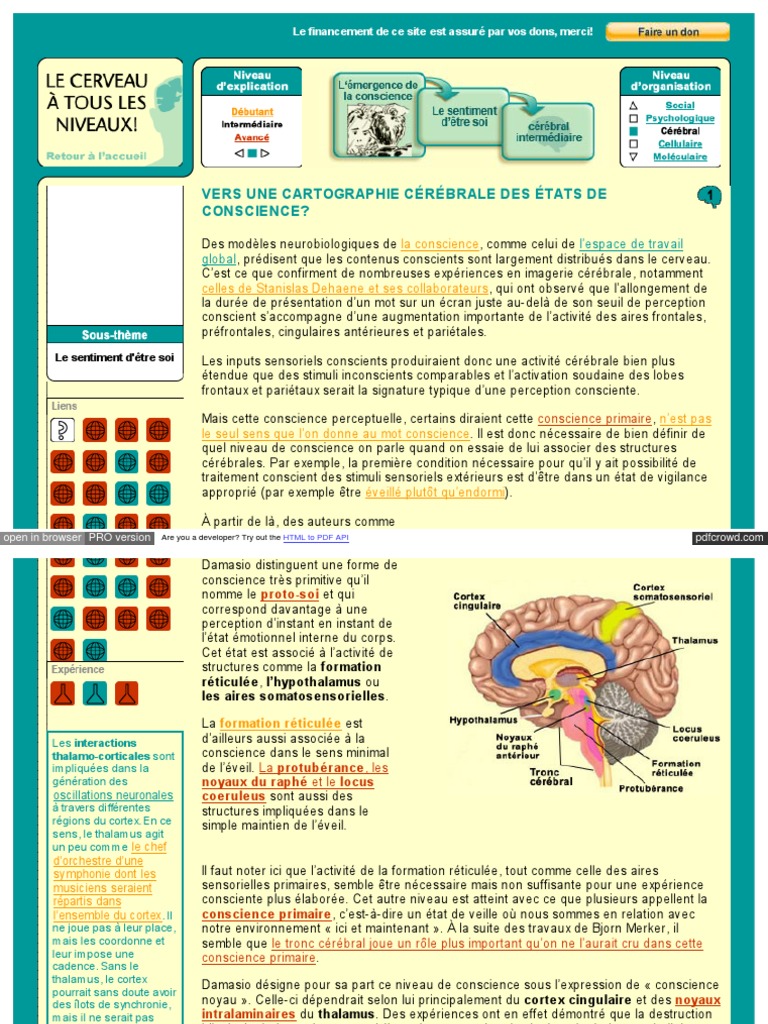 Cartographie cérébrale de la conscience | PDF | Cortex insulaire ...