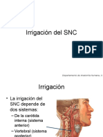 Irrigacion Del SNC