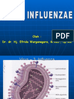Virus Influenzae