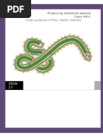 Download Class 12 Biology Project on Ebola CBSE Brief Report on Ebola by Tia SN333311636 doc pdf
