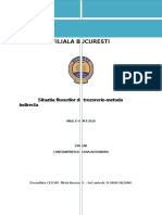 Proiect CECCAR - Situatia Fluxurilor de Trezorerie-MI