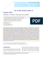 The Differing Roles of The Frontal Cortex in Fluency Tests