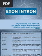 1.5 Presentasi Ekson Intron