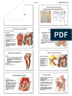 2 Anatomia Locomotor M Inferior Usa 2017 Alu PDF