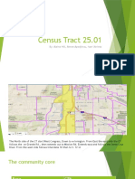 Census Tract 25 Community Report Project