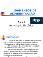 Teoria de Administração 1