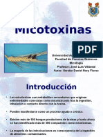 52105832-Micotoxinas.ppt