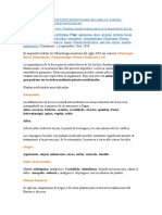 Odontología Del Siglo XXI. Plantas Medicinales para El Tratamiento Bucal.