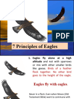 7 Principles of Eagle - 1