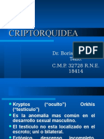 CRIPTORQUIDEA_para_resid.ppt