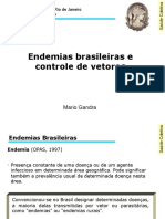 Aula 7 - Endemias Brasileiras e Controle de Vetores