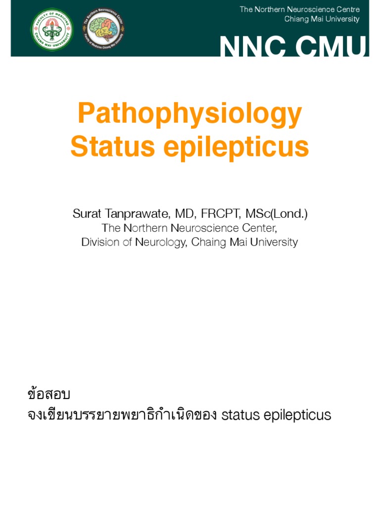 Status Epilepticus Pathophysiology Epilepsy Nervous System