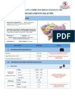 Ficha Informativa Sobre Seguridad Ciudadad Junin