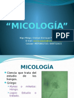 1 - Micología