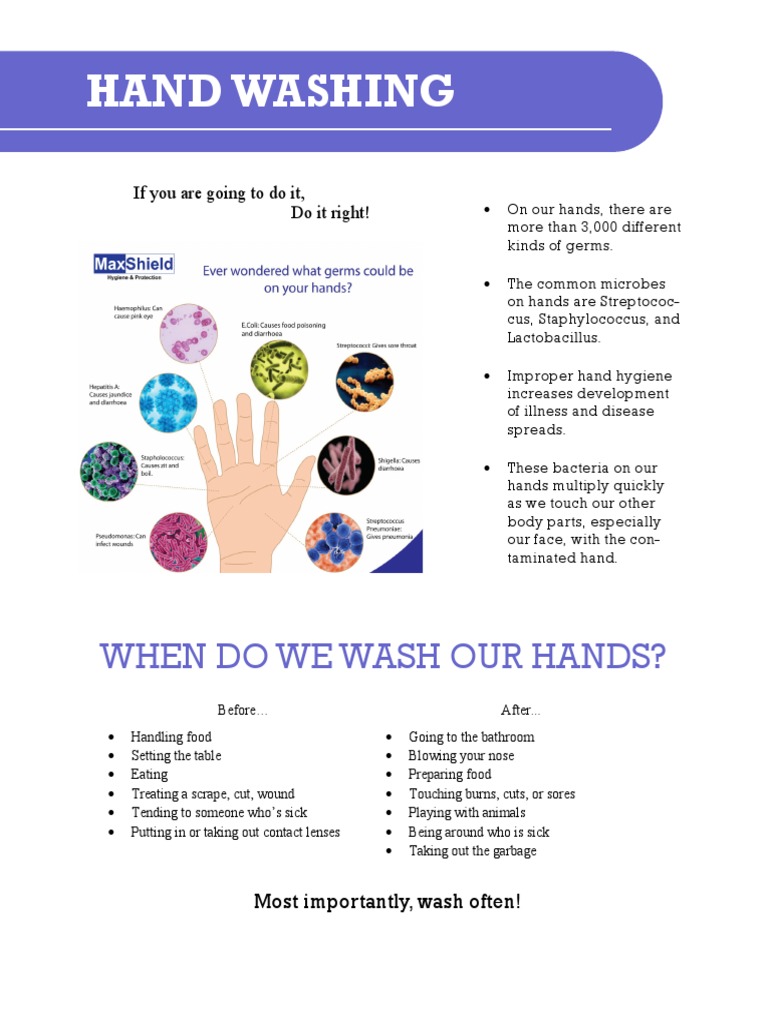 Essential Hand Washing Guidelines | PDF