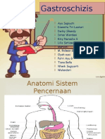 ppt Gastroschisis 2