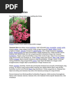 Download Aaaa Tanaman Hias by rahmad SN333371211 doc pdf