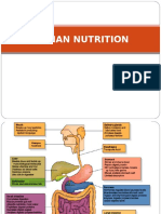 Human Nutrition