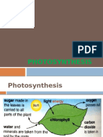 Photosynthesis