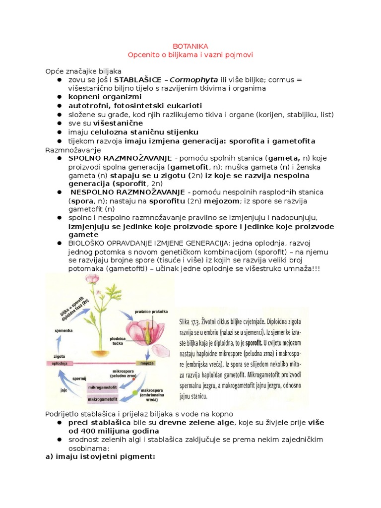 Botanika | PDF