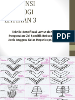 asistensi briologi