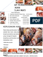 Tahap-Tahap Pembusukan Ikan Setelah Mati