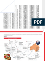 Plan Estrategico Nacional Exportador