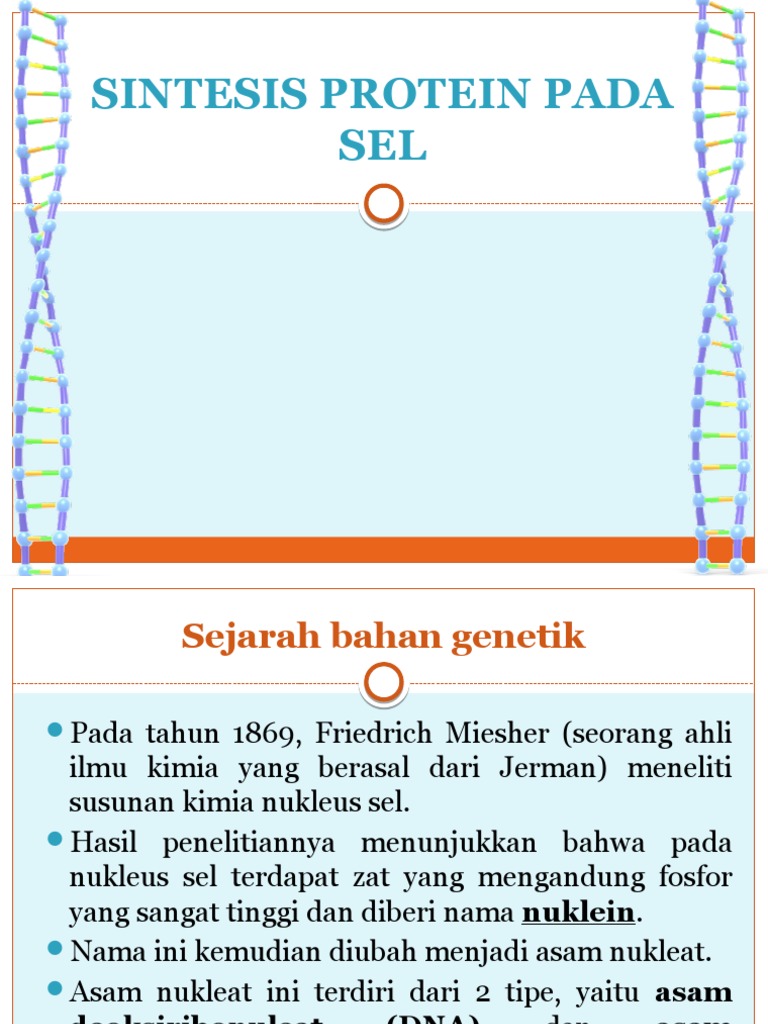 Sintesis Protein: DNA ke RNA ke Protein | PDF | Kesehatan Holistik ...
