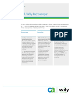 Introscope Product Brief