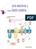 CTE.pdf