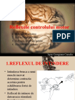 Reflexele Controlului Motor