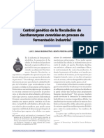 Buenrostro (2009) Control Genético de La Floculación de Saccharomyces Cerevisiae en Proceso de Fermentación Industrial