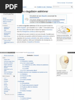 Fr Wikipedia Org Wiki Cortex Cingulaire Ant C3 A9rieur