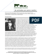 aturdimientodeanimalesporpernocautivo.pdf