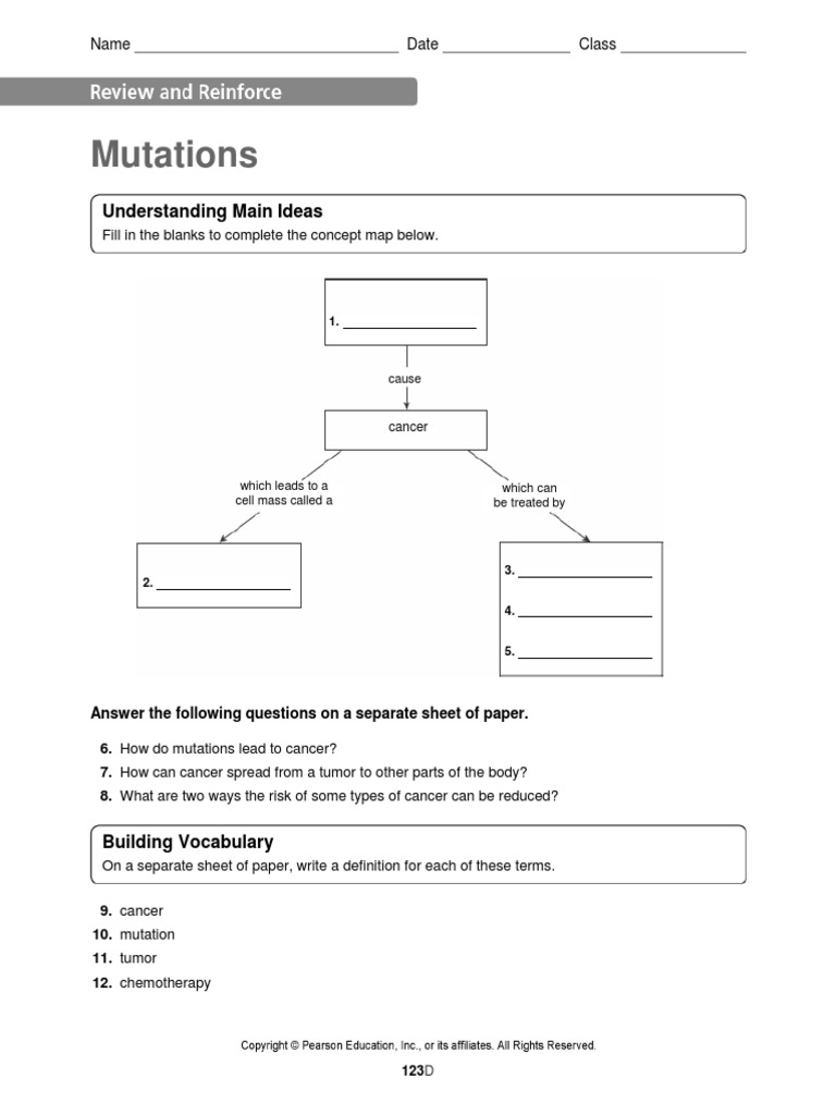 Chapter 4 Lesson 3