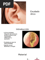 Exudado Ótico y Coprocultivo
