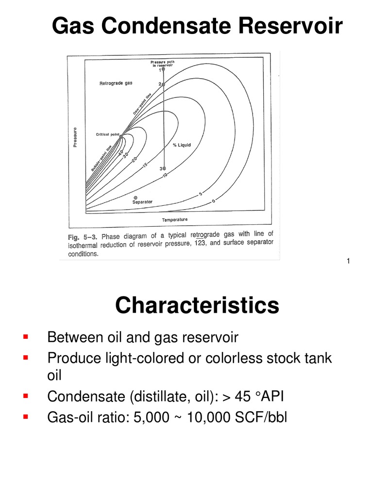 Gas Condensate Reservoir Petroleum Reservoir Gases