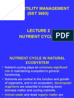 SST3603 Lecture 2 Nutrient Cycles