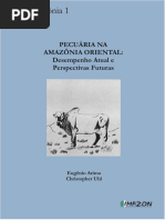 Série Amazônia 01