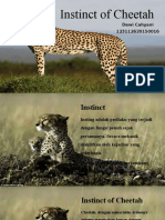 Instinct of Cheetah