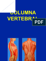 1- Columna vertebral - Generalidades.ppt