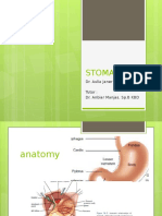 Stomach: Dr. Aulia Janer Tutor: Dr. Anbiar Manjas, SP.B KBD