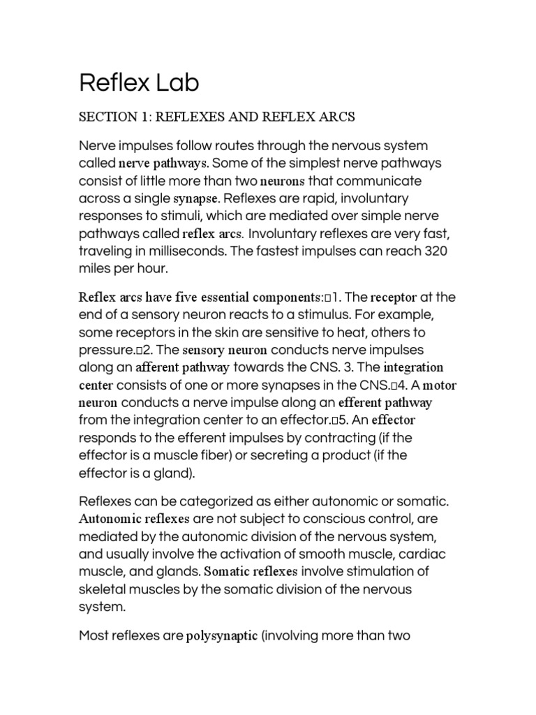 Reflex Lab PDF Autonomic Nervous System Nervous System