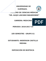 Tema de Exposición - Principios de La Biofísica