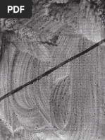 A esquerda no nevoeiro