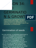 Seed Germination & Growth